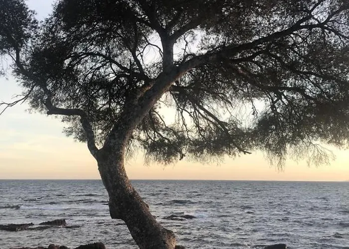 2 Pers Au Calme A Boulouris *